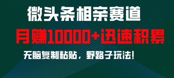 微头条相亲赛道，迅速积累，无脑复制粘贴，野路子玩法，月入1w宝哥轻创业_网络项目库_分享创业资讯_最新免费网络项目资源宝哥网创资源项目库