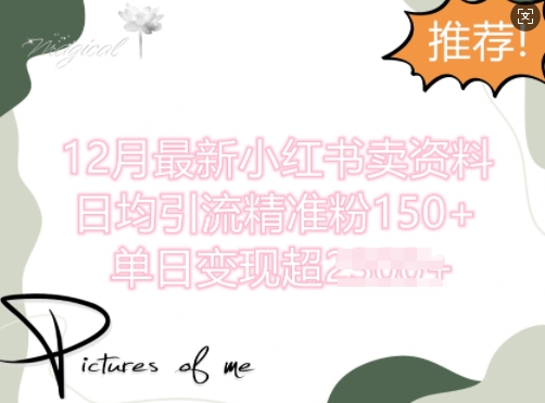 12月最新小红书日均引流精准粉100 ，单日变现多张宝哥轻创业_网络项目库_分享创业资讯_最新免费网络项目资源宝哥网创资源项目库