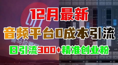 12月最新：音频平台0成本引流，日引流300 精准创业粉宝哥轻创业_网络项目库_分享创业资讯_最新免费网络项目资源宝哥网创资源项目库