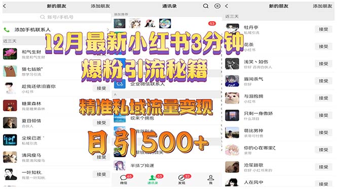 12月最新小红书3分钟爆粉引流秘籍 精准私域流量变现 日引500宝哥轻创业_网络项目库_分享创业资讯_最新网创免费网络项目资源宝哥网创资源项目库