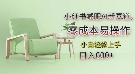 小红书减肥AI新赛道，零成本易操作，日入多张，小白轻松上手【揭秘】宝哥轻创业_网络项目库_分享创业资讯_最新免费网络项目资源宝哥网创资源项目库