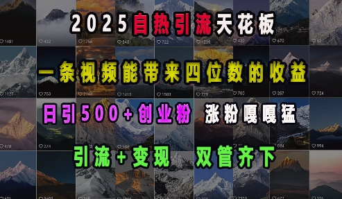 2025自热引流天花板，一条视频能带来四位数的收益，引流 变现双管齐下，日引500 创业粉，涨粉嘎嘎猛宝哥轻创业_网络项目库_分享创业资讯_最新免费网络项目资源宝哥网创资源项目库