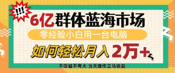6亿群体蓝海市场，零经验小白用一台电脑，如何轻松月入过w【揭秘】宝哥轻创业_网络项目库_分享创业资讯_最新网创免费网络项目资源宝哥网创资源项目库