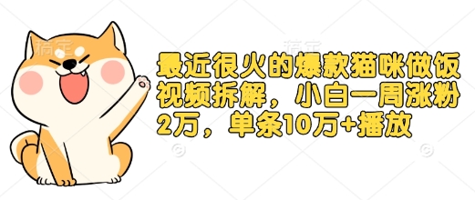 最近很火的爆款猫咪做饭视频拆解，小白一周涨粉2万，单条10万 播放(附保姆级教程)宝哥轻创业_网络项目库_分享创业资讯_最新网创免费网络项目资源宝哥网创资源项目库