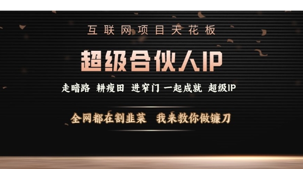 互联网项目天花板，超级合伙人IP，全网都在割韭菜，我来教你做镰刀【仅揭秘】宝哥轻创业_网络项目库_分享创业资讯_最新网创免费网络项目资源宝哥网创资源项目库