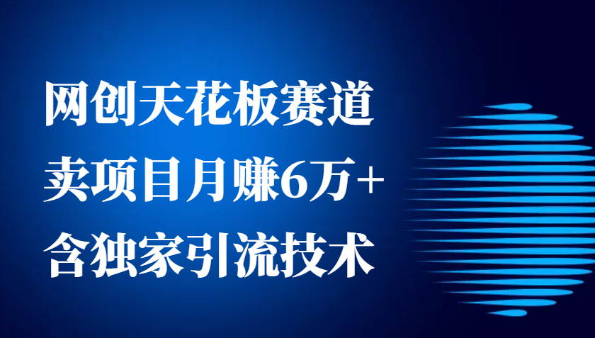 网创天花板赛道，卖项目月赚6万 ，含独家引流技术(共26节课)宝哥轻创业_网络项目库_分享创业资讯_最新网创免费网络项目资源宝哥网创资源项目库
