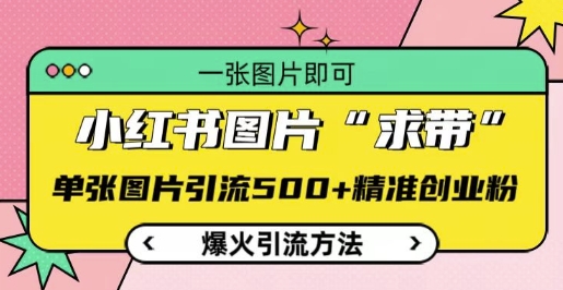 小红书图片‘求带’爆火引流法，单张图片引流500 精准创业粉【揭秘】宝哥轻创业_网络项目库_分享创业资讯_最新网创免费网络项目资源宝哥网创资源项目库