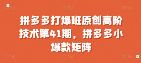拼多多打爆班原创高阶技术第41期，拼多多小爆款矩阵宝哥轻创业_网络项目库_分享创业资讯_最新网创免费网络项目资源宝哥网创资源项目库