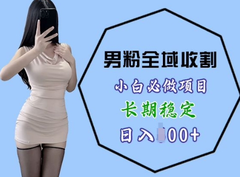 男粉项目全域收割，小白必做项目，长期稳定，稳定日入几张男粉项目全域收割，宝哥轻创业_网络项目库_分享创业资讯_最新网创免费网络项目资源宝哥网创资源项目库