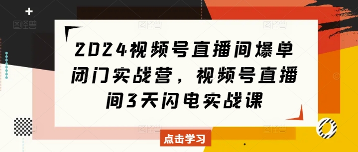 2024视频号直播间爆单闭门实战营，视频号直播间3天闪电实战课宝哥轻创业_网络项目库_分享创业资讯_最新网创免费网络项目资源宝哥网创资源项目库
