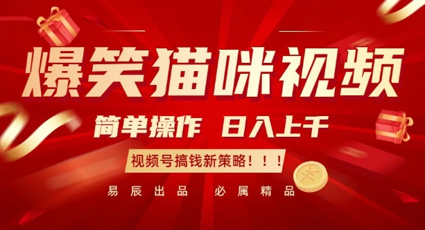 爆笑猫咪视频：简单操作，日入过K，视频号搞钱新策略【揭秘】宝哥轻创业_网络项目库_分享创业资讯_最新网创免费网络项目资源宝哥网创资源项目库