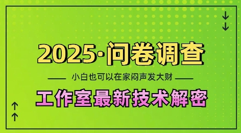 2025问卷调查最新工作室技术解密：一个人在家也可以闷声发大财，小白一天2张，可矩阵放大【揭秘】宝哥轻创业_网络项目库_分享创业资讯_最新网创免费网络项目资源宝哥网创资源项目库
