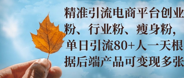 小投资撬动大收益，精准引流创业粉、行业粉，单日引流80 ，一天可变现多张宝哥轻创业_网络项目库_分享创业资讯_最新网创免费网络项目资源宝哥网创资源项目库