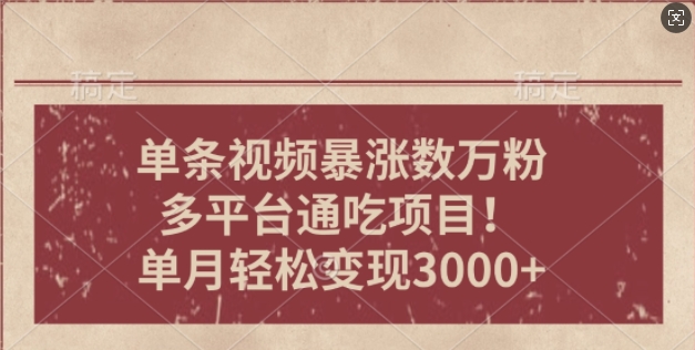 一条作品涨万粉，轻松上手，单月简单变现3000宝哥轻创业_网络项目库_分享创业资讯_最新网创免费网络项目资源宝哥网创资源项目库