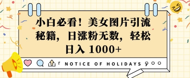 小白必看，美女图片引流秘籍，日涨粉无数，轻松日入几张【揭秘】宝哥轻创业_网络项目库_分享创业资讯_最新网创免费网络项目资源宝哥网创资源项目库