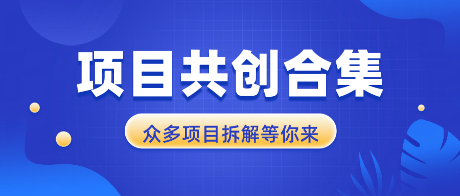 项目共创合集，从0-1全过程拆解，让你迅速找到适合自已的项目宝哥轻创业_网络项目库_分享创业资讯_最新网创免费网络项目资源宝哥网创资源项目库