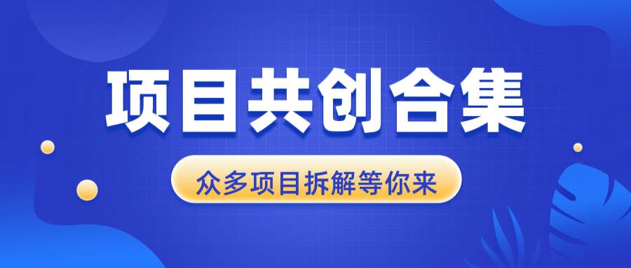 项目共创合集，从0-1全过程拆解，让你迅速找到适合自已的项目宝哥轻创业_网络项目库_分享创业资讯_最新网创免费网络项目资源宝哥网创资源项目库