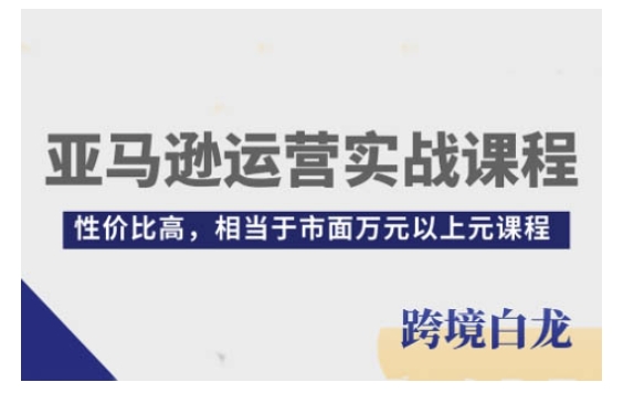 亚马逊运营实战课程，亚马逊从入门到精通，性价比高，相当于市面万元以上元课程宝哥轻创业_网络项目库_分享创业资讯_最新网创免费网络项目资源宝哥网创资源项目库