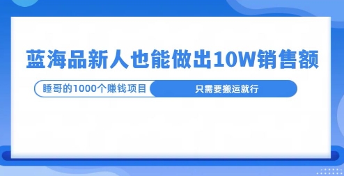 这个蓝海品，新号也能卖出10W的销售额，年底疯狂怼量就能出结果宝哥轻创业_网络项目库_分享创业资讯_最新网创免费网络项目资源宝哥网创资源项目库