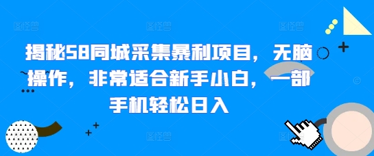 揭秘58同城采集暴利项目，无脑操作，非常适合新手小白，一部手机轻松日入宝哥轻创业_网络项目库_分享创业资讯_最新网创免费网络项目资源宝哥网创资源项目库