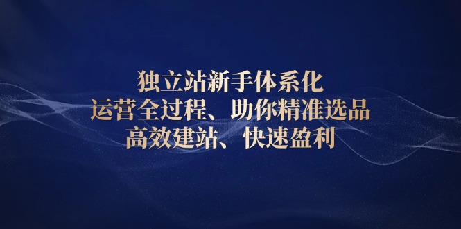 独立站新手体系化 运营全过程，助你精准选品、高效建站、快速盈利宝哥轻创业_网络项目库_分享创业资讯_最新网创免费网络项目资源宝哥网创资源项目库