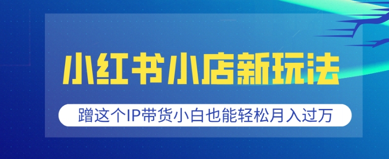 小红书小店新玩法，蹭这个IP带货，小白也能轻松月入过W【揭秘】宝哥轻创业_网络项目库_分享创业资讯_最新网创免费网络项目资源宝哥网创资源项目库