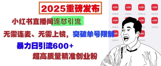 2025重磅发布：小红书直播间连怼引流，无需连麦、无需上镜，突破单号限制，暴力日引流600宝哥轻创业_网络项目库_分享创业资讯_最新网创免费网络项目资源宝哥网创资源项目库