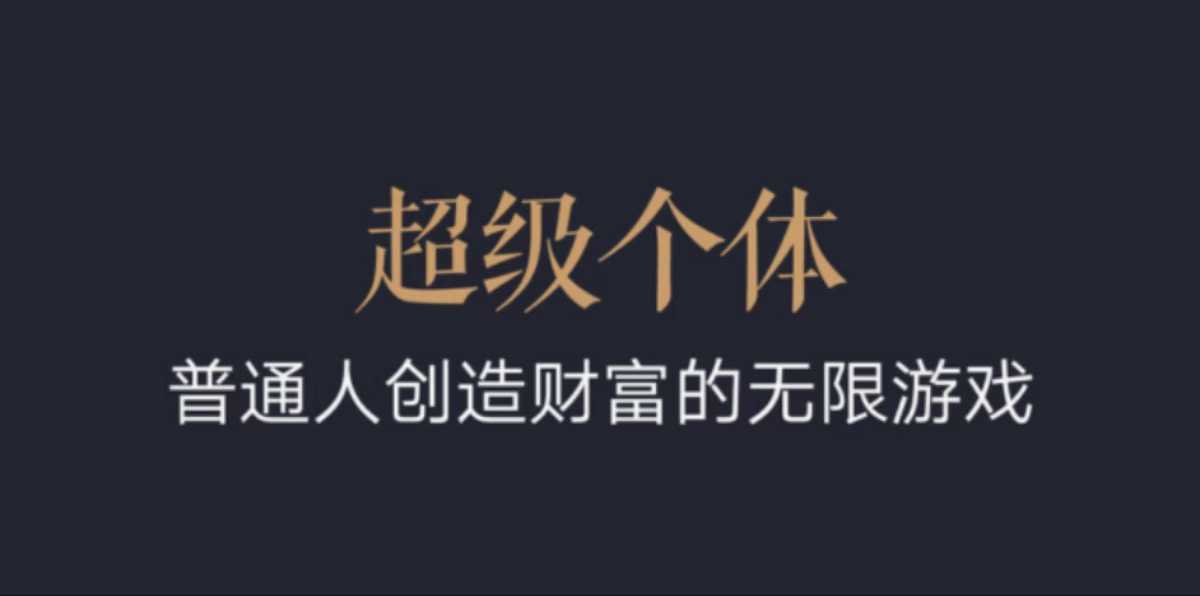超级个体：2024-2025翻盘指南，普通人创造财富的无限游戏宝哥轻创业_网络项目库_分享创业资讯_最新网创免费网络项目资源宝哥网创资源项目库