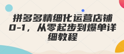 拼多多精细化运营店铺0-1，从零起步到爆单详细教程宝哥轻创业_网络项目库_分享创业资讯_最新网创免费网络项目资源宝哥网创资源项目库