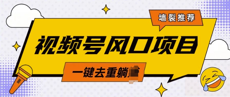 视频号风口蓝海项目，中老年人的流量密码，简单无脑，一键去重，轻松月入过W宝哥轻创业_网络项目库_分享创业资讯_最新网创免费网络项目资源宝哥网创资源项目库