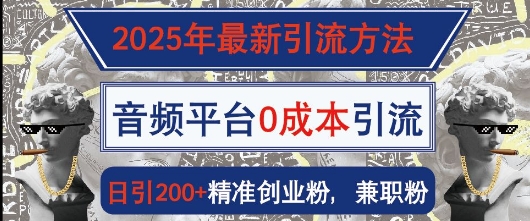 2025年最新引流方法，音频平台0成本引流，日引200 精准创业粉宝哥轻创业_网络项目库_分享创业资讯_最新网创免费网络项目资源宝哥网创资源项目库