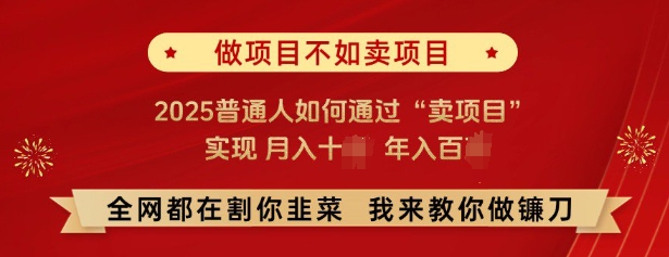 必看，做项目不如卖项目，2025普通人如何通过“卖项目”实现月入十个，年入百个宝哥轻创业_网络项目库_分享创业资讯_最新网创免费网络项目资源宝哥网创资源项目库