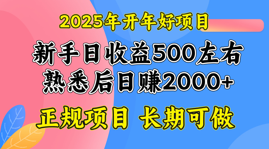 2025开年好项目，单号日收益2000左右宝哥轻创业_网络项目库_分享创业资讯_最新网创免费网络项目资源宝哥网创资源项目库