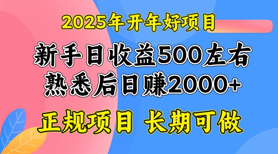 2025开年好项目，单号日收益2000左右宝哥轻创业_网络项目库_分享创业资讯_最新网创免费网络项目资源宝哥网创资源项目库