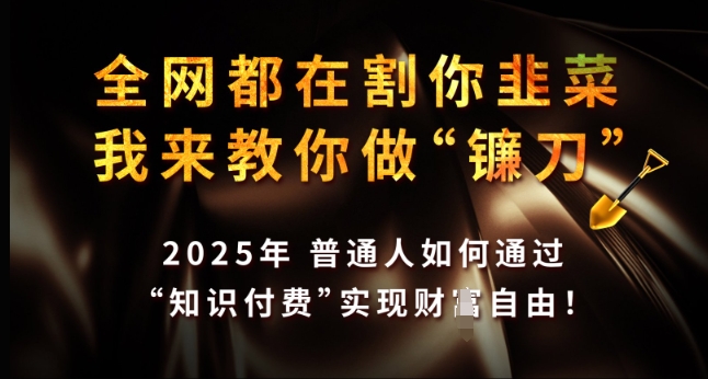 全网都在割你韭菜，我来教你做镰刀，2025年普通人如何通过 知识付费 实现财F自由【揭秘】宝哥轻创业_网络项目库_分享创业资讯_最新网创免费网络项目资源宝哥网创资源项目库