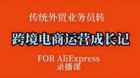 跨境电商速卖通运营课，​运营方法论 后台实操，逻辑清晰宝哥轻创业_网络项目库_分享创业资讯_最新网创免费网络项目资源宝哥网创资源项目库