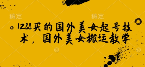 1288买的国外美女起号技术，国外美女搬运教学宝哥轻创业_网络项目库_分享创业资讯_最新网创免费网络项目资源宝哥网创资源项目库