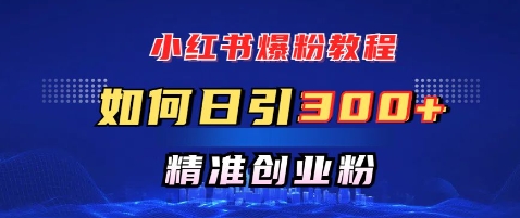 小红书爆粉教程，如何日引300+创业粉，快速实现精准变现宝哥轻创业_网络项目库_分享创业资讯_最新网创免费网络项目资源宝哥网创资源项目库