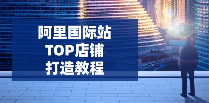 阿里国际站TOP店铺打造教程：涵盖平台到高阶，解决运营难题，提升询盘宝哥轻创业_网络项目库_分享创业资讯_最新网创免费网络项目资源宝哥网创资源项目库