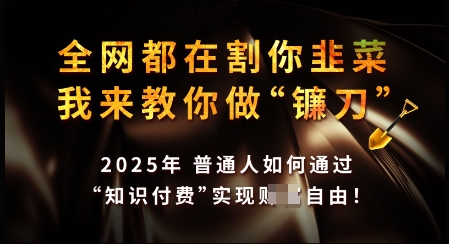 知识付费如何做到月入过W+，2025我来教你做“镰刀”【揭秘】宝哥轻创业_网络项目库_分享创业资讯_最新网创免费网络项目资源宝哥网创资源项目库