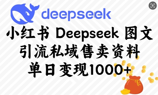 小红书Deepseek图文引流私域售卖资料，单日变现多张宝哥轻创业_网络项目库_分享创业资讯_最新网创免费网络项目资源宝哥网创资源项目库