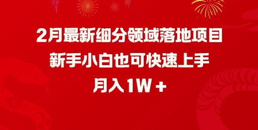 2月最新细分领域落地项目，新手小白也可快速上手，月入1W宝哥轻创业_网络项目库_分享创业资讯_最新网创免费网络项目资源宝哥网创资源项目库