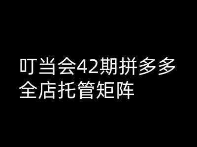 叮当会拼多多打爆班原创高阶技术第42期，拼多多全店托管矩阵宝哥轻创业_网络项目库_分享创业资讯_最新网创免费网络项目资源宝哥网创资源项目库