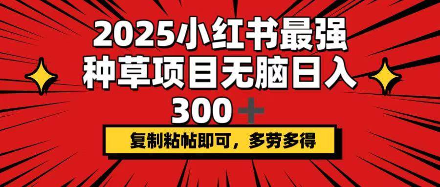 2025小红书最强种草项目，无脑日入300+，复制粘帖即可，多劳多得宝哥轻创业_网络项目库_分享创业资讯_最新网创免费网络项目资源宝哥网创资源项目库