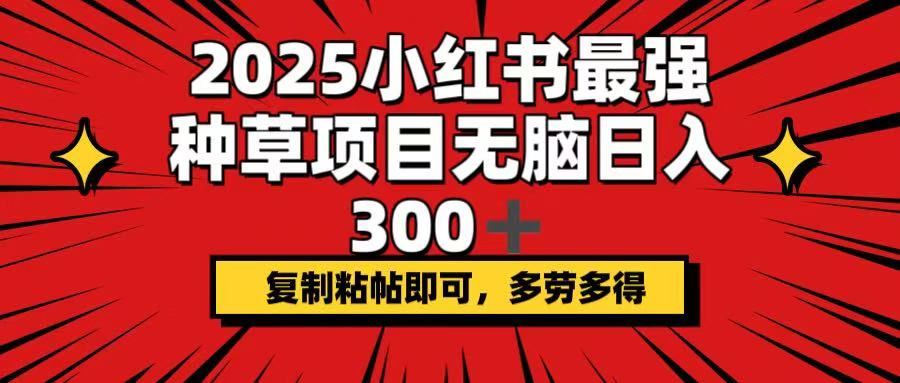 2025小红书最强种草项目，无脑日入300+，复制粘帖即可，多劳多得宝哥轻创业_网络项目库_分享创业资讯_最新网创免费网络项目资源宝哥网创资源项目库