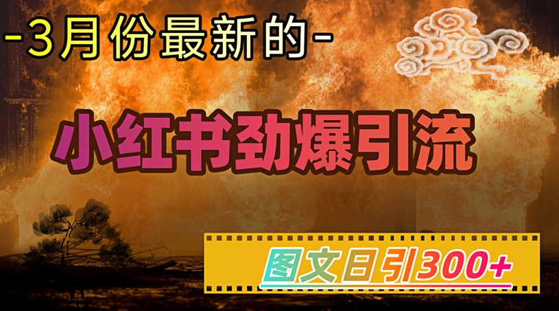小红书超劲爆引流手段，图文日引300+轻松变现1W宝哥轻创业_网络项目库_分享创业资讯_最新网创免费网络项目资源宝哥网创资源项目库