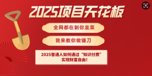 2025项目天花板普通人如何通过知识付费，实现财F自由【揭秘】宝哥轻创业_网络项目库_分享创业资讯_最新网创免费网络项目资源宝哥网创资源项目库