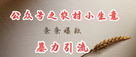 deepseek写农村小项目，条条爆款，暴力引流宝哥轻创业_网络项目库_分享创业资讯_最新网创免费网络项目资源宝哥网创资源项目库