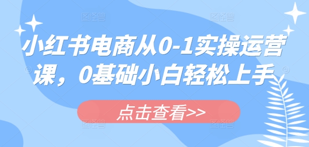 小红书电商从0-1实操运营课，0基础小白轻松上手宝哥轻创业_网络项目库_分享创业资讯_最新网创免费网络项目资源宝哥网创资源项目库