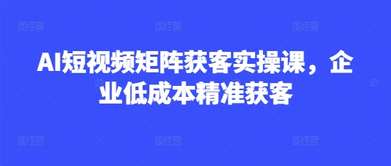 AI短视频矩阵获客实操课，企业低成本精准获客宝哥轻创业_网络项目库_分享创业资讯_最新网创免费网络项目资源宝哥网创资源项目库